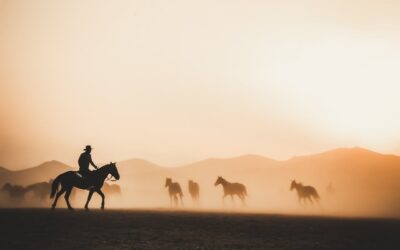 Howdy Partners: A Cowboy’s/Cowgirl’s Guide to Bitcoin in the Wild West of Crypto